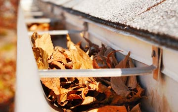 Newthorpe Common gutter cleaning companies