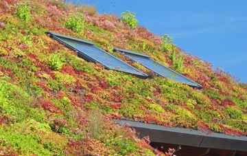 Newthorpe Common living roof systems