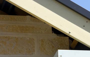 soffit repair Newthorpe Common