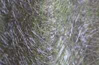 Newthorpe Common fibreglass roof work