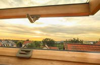 rated Newthorpe Common roof window companies